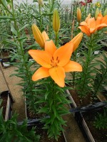 [5593 VH23 No01.JPG]